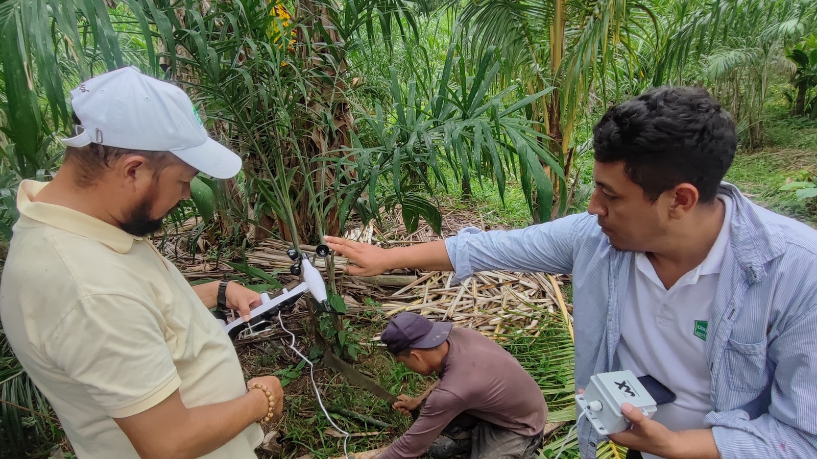 Field team installing a WeatherXM station on a farm
