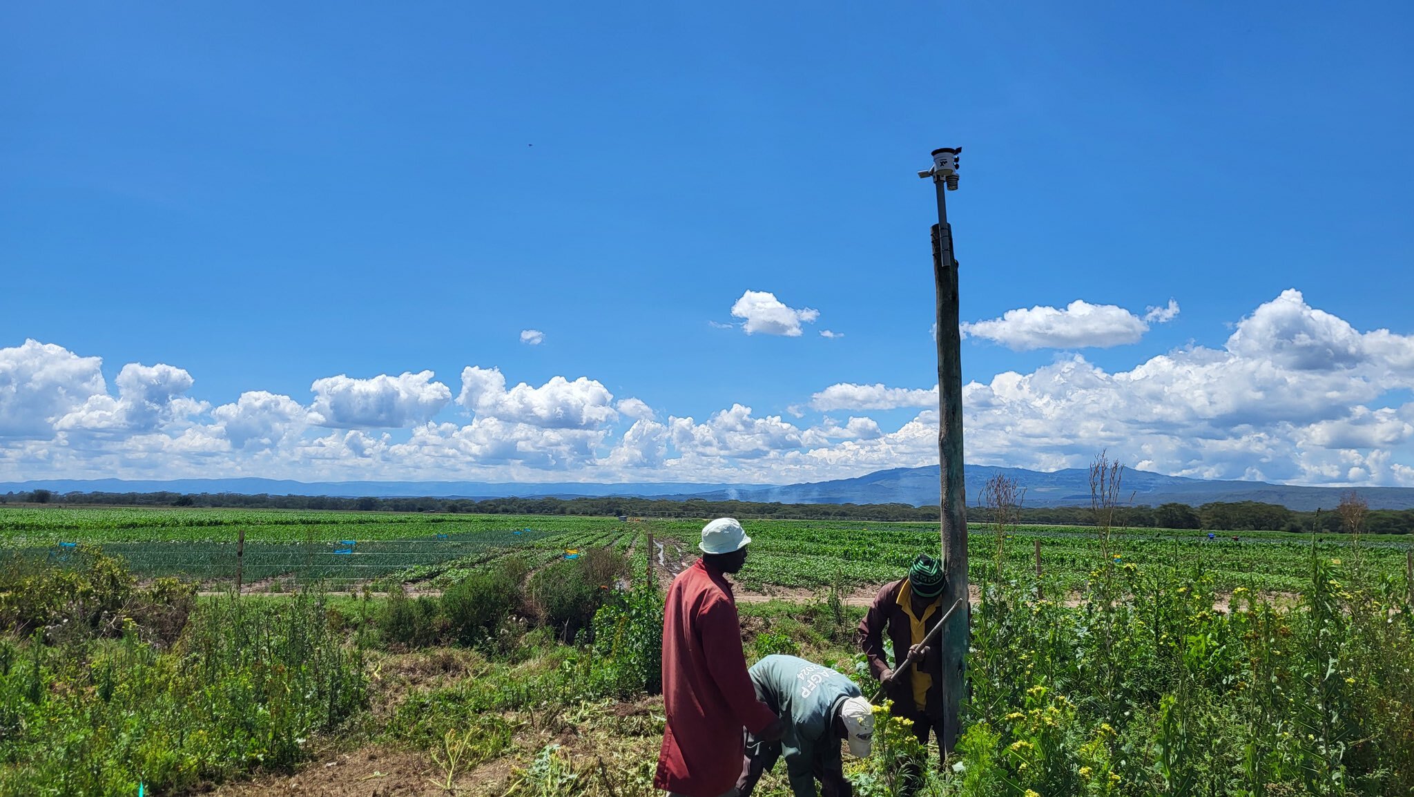 Field deployment of a WeatherXM weather station in Kenya